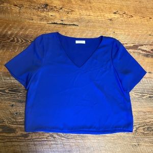 Aritzia Babaton Blouse